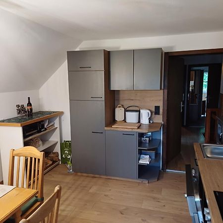 Appartement Steiner Schladming Zewnętrze zdjęcie