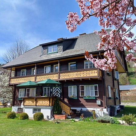 Appartement Steiner Schladming Zewnętrze zdjęcie