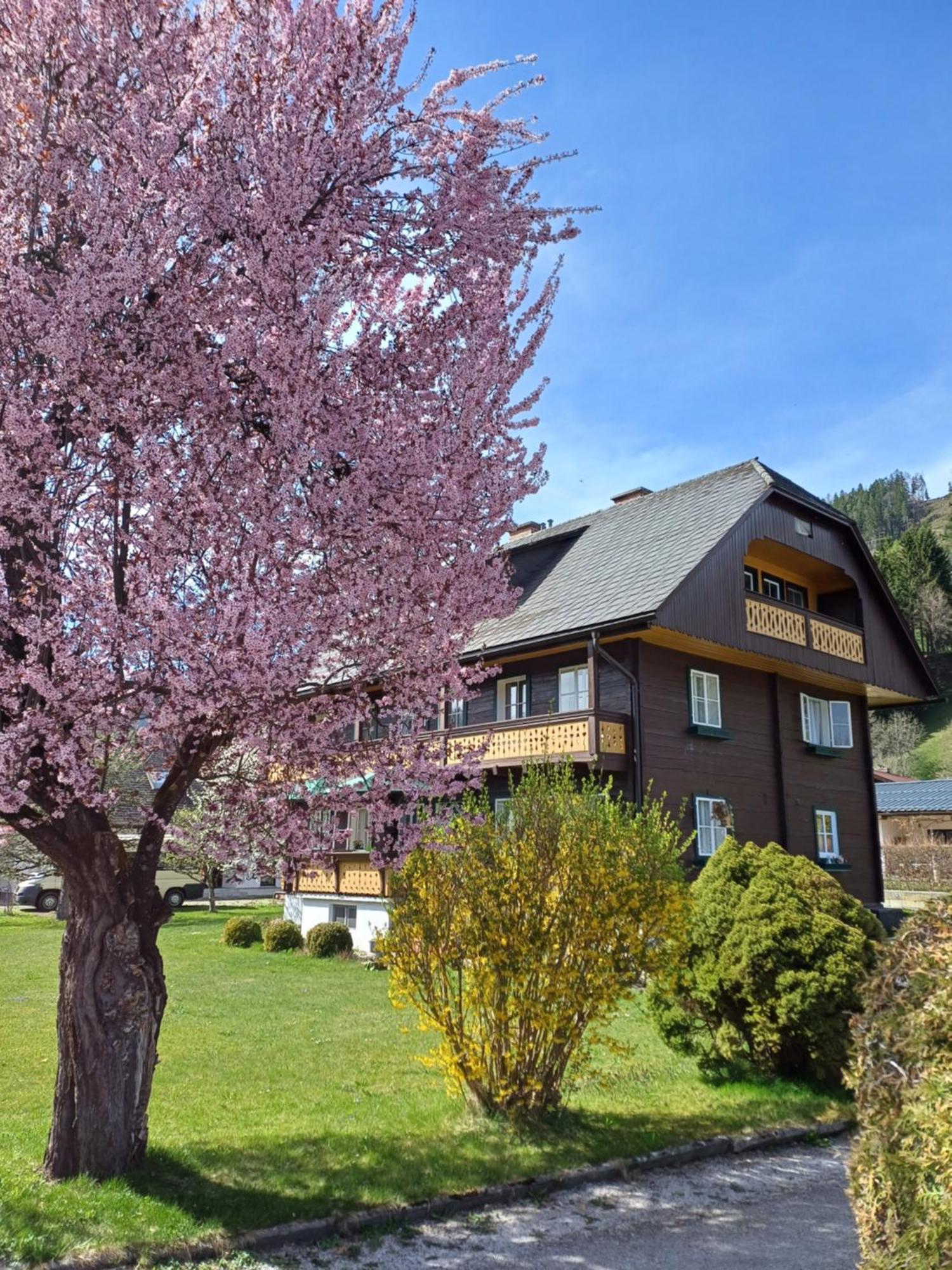 Appartement Steiner Schladming Zewnętrze zdjęcie