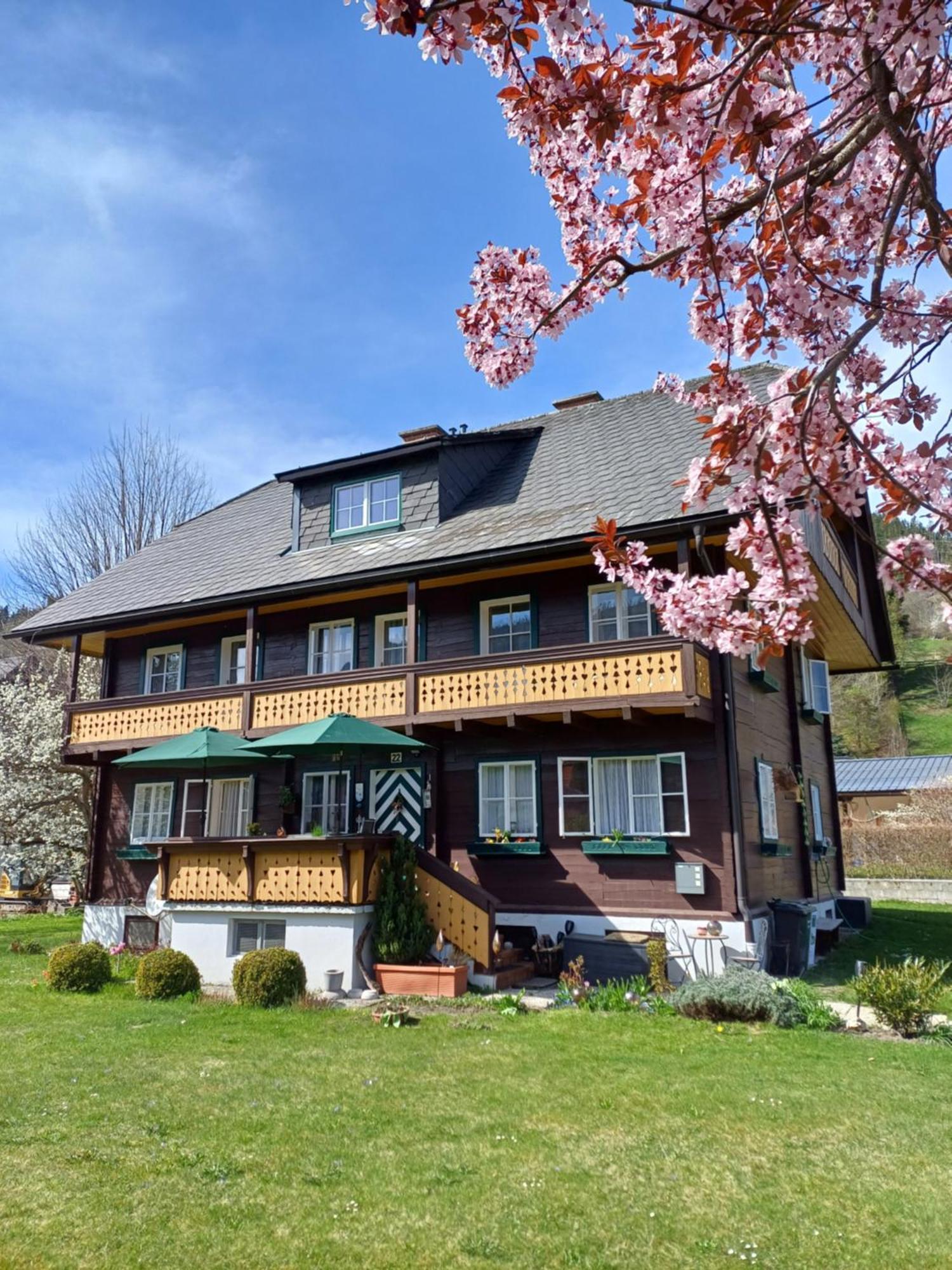 Appartement Steiner Schladming Zewnętrze zdjęcie