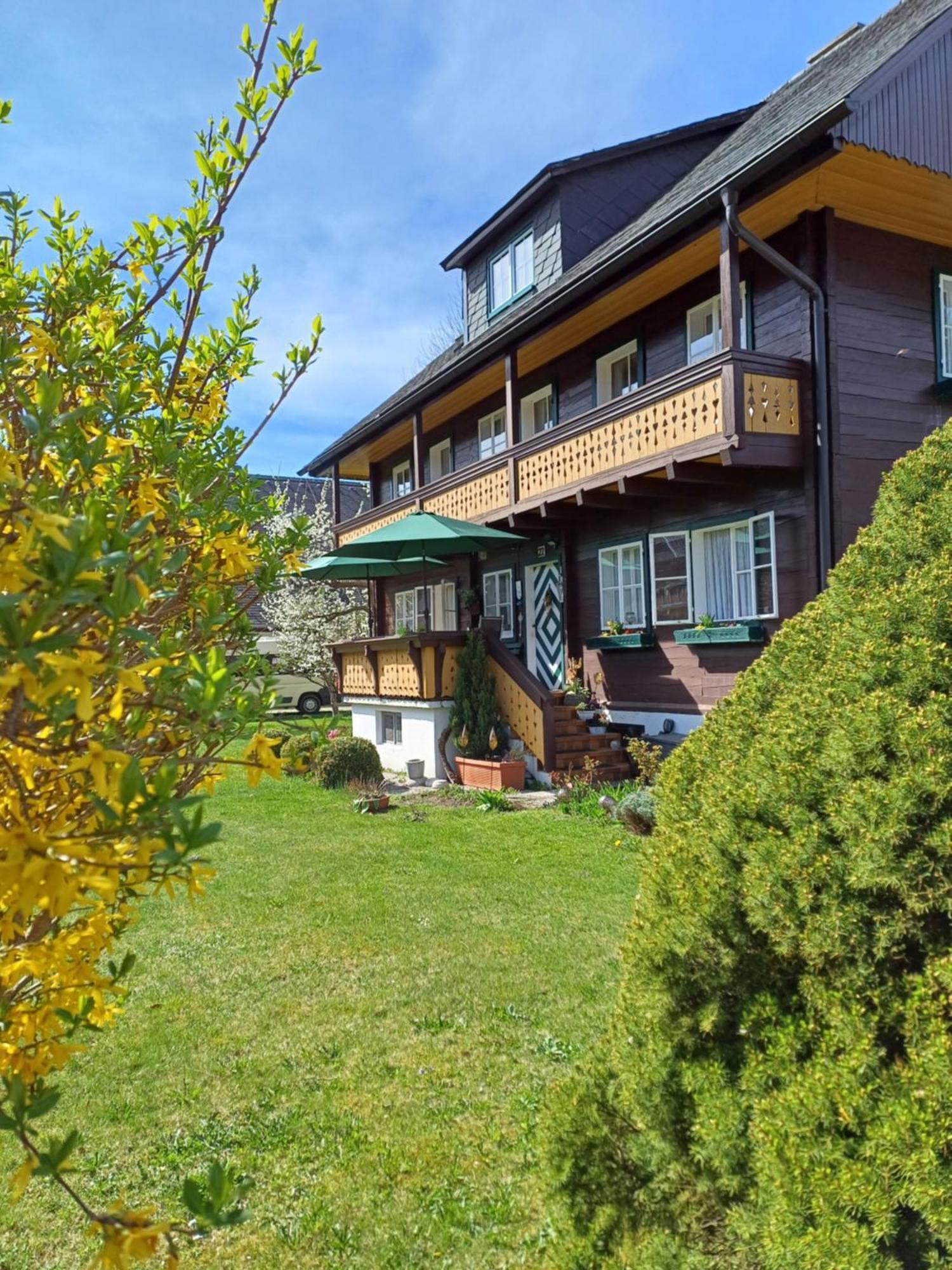 Appartement Steiner Schladming Zewnętrze zdjęcie