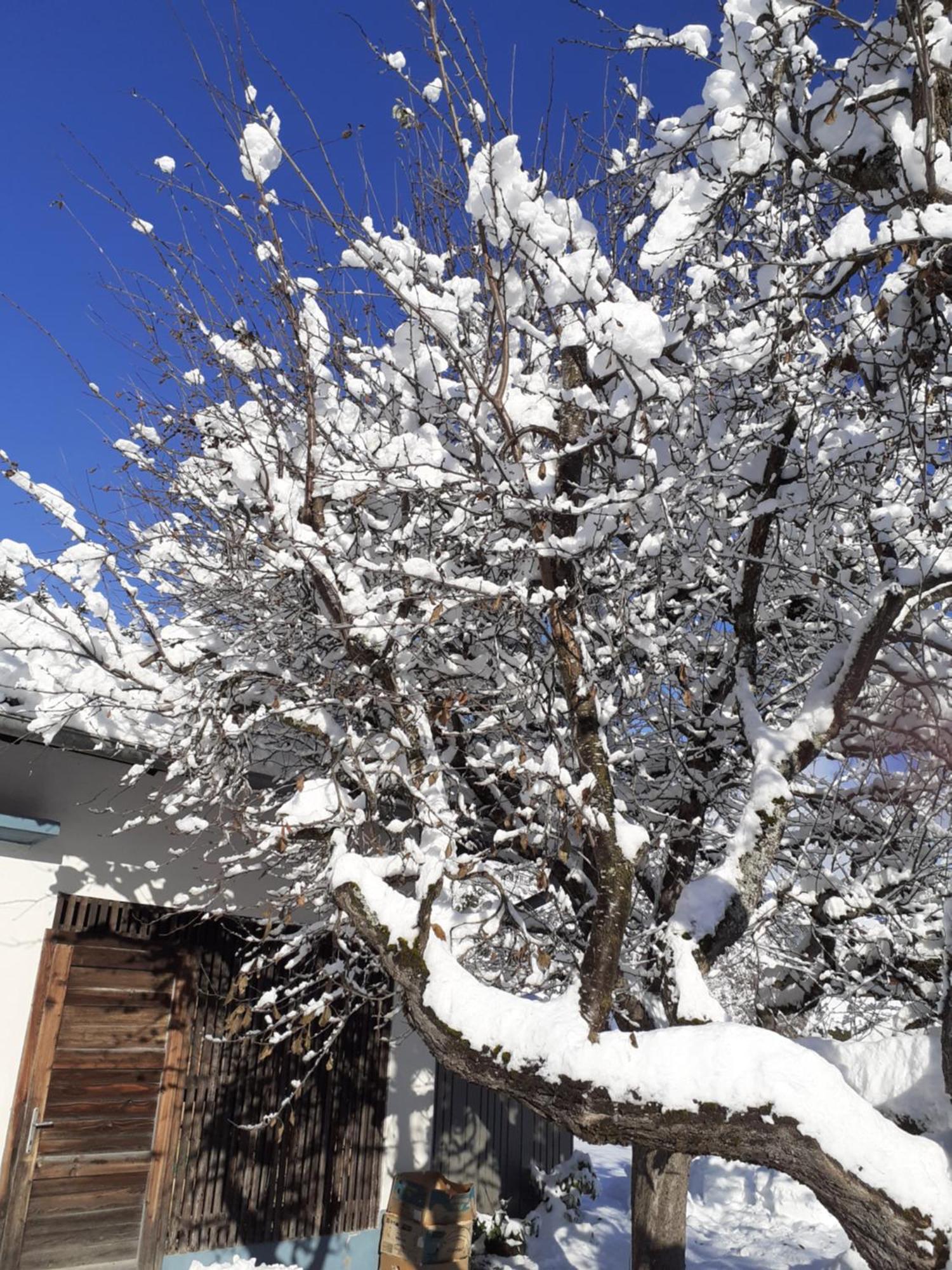 Appartement Steiner Schladming Zewnętrze zdjęcie